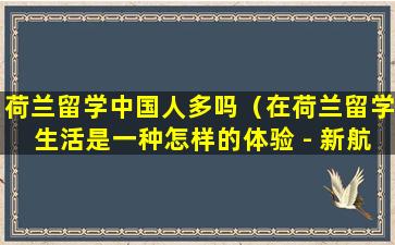 荷兰留学中国人多吗（在荷兰留学生活是一种怎样的体验 - 新航道前程留学）